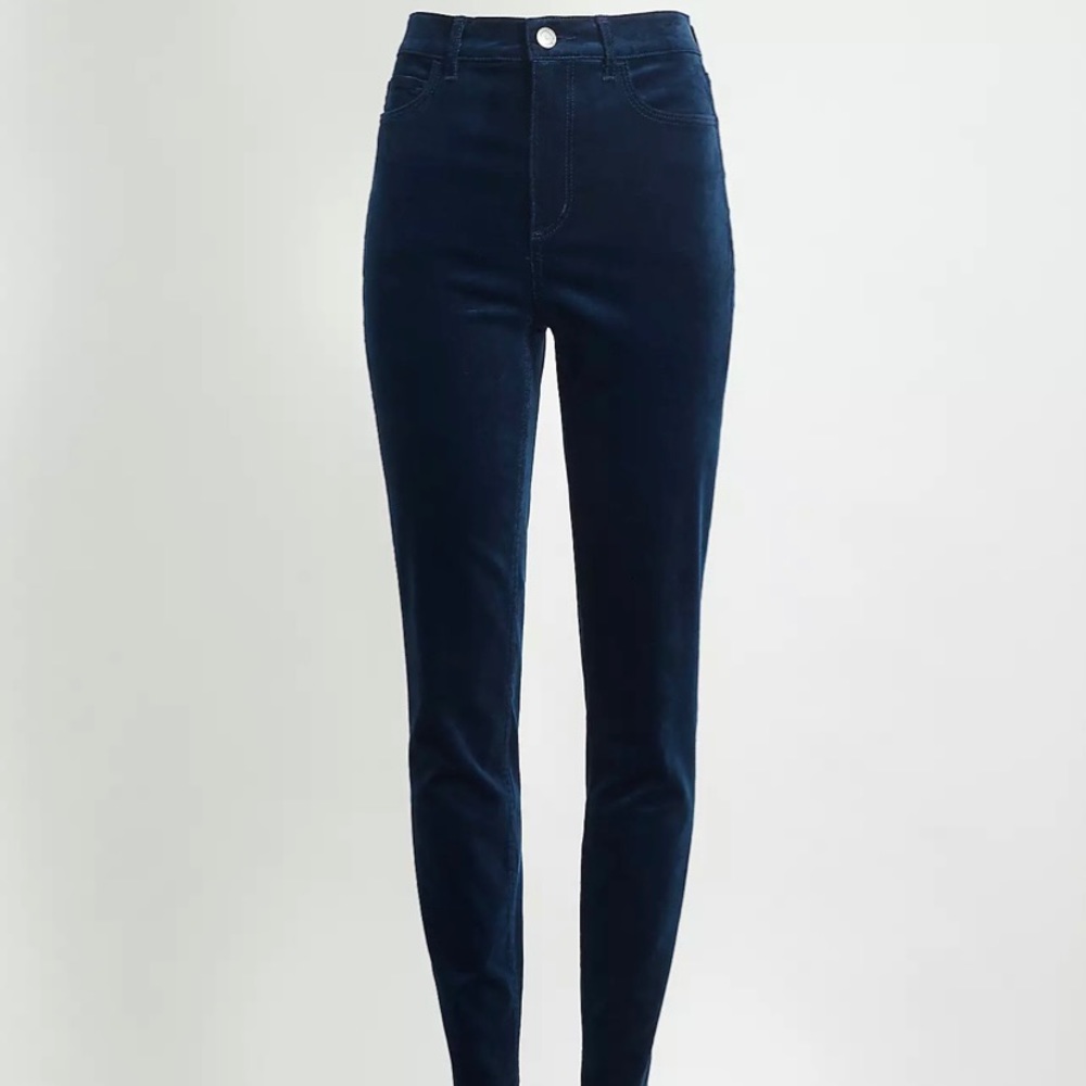 Ann Taylor Blue Velvet pants